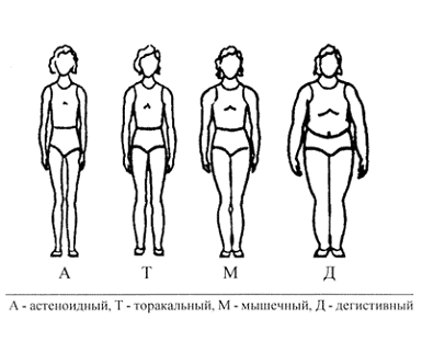 Типы телосложения у женщин